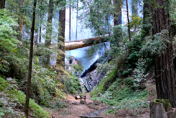 FireDeetjens0688web.jpg